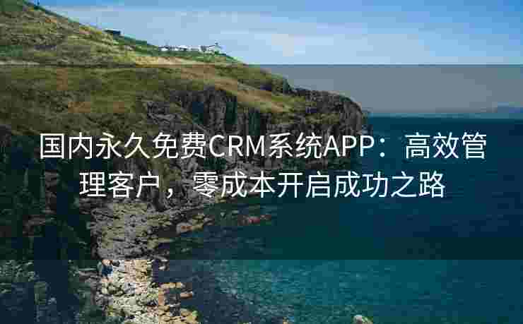 国内永久免费CRM系统APP：高效管理客户，零成本开启成功之路