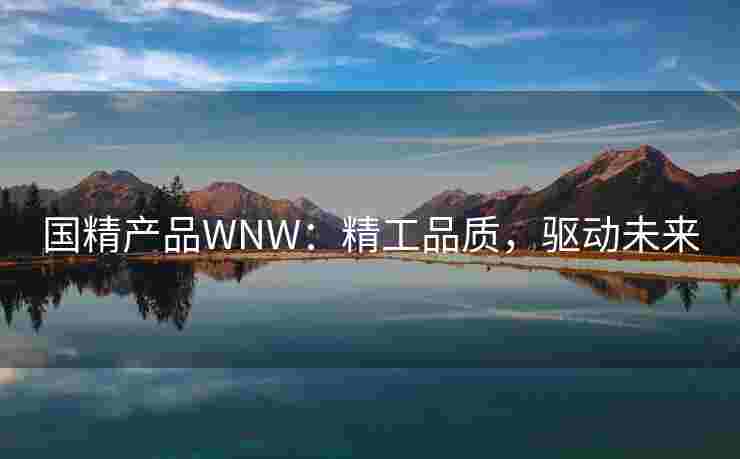 国精产品WNW：精工品质，驱动未来