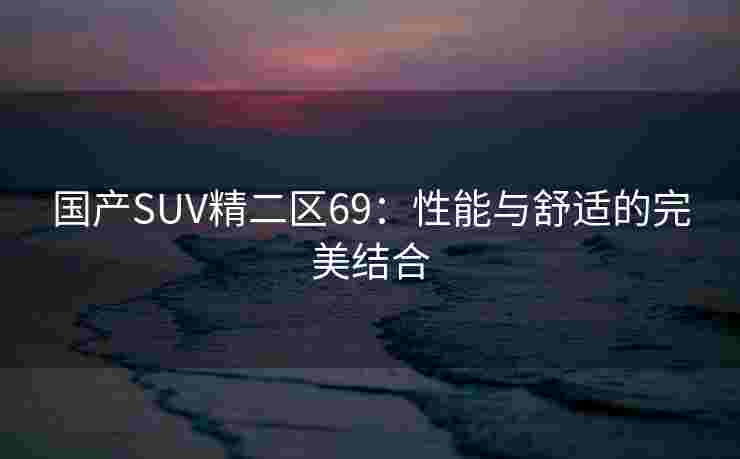 国产SUV精二区69：性能与舒适的完美结合